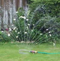 Watering Whilst you're Away