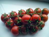 Sowing Early Cropping Home Grown Tomatoes