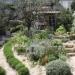 RHS Chelsea 2010 - The L'Occitane Garden