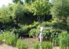 RHS Chelsea 2014 - A Garden for First Touch at St George’s