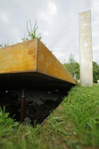 Underground Fungus Garden Wins Gold at Hampton Court