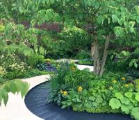 The Boodles Travel Garden at the 2022 RHS Chelsea flower show