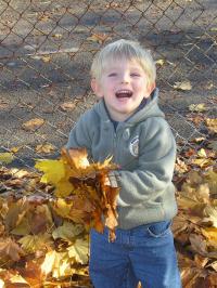 Boy clearing leaves